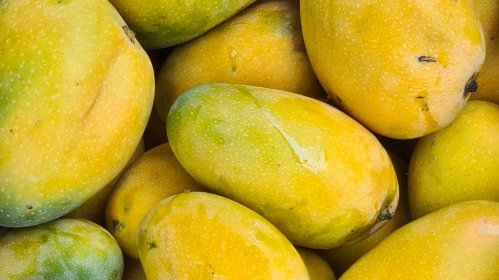 mangoes