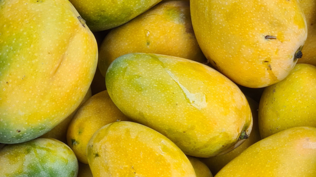 La mangue - FOSA TRADING IMPORT EXPORT