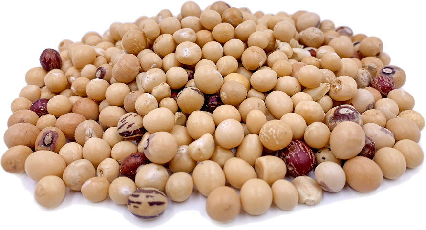 pois-bambara