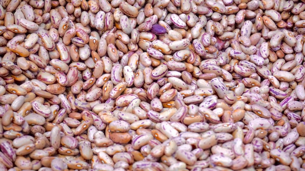 haricots-marbres