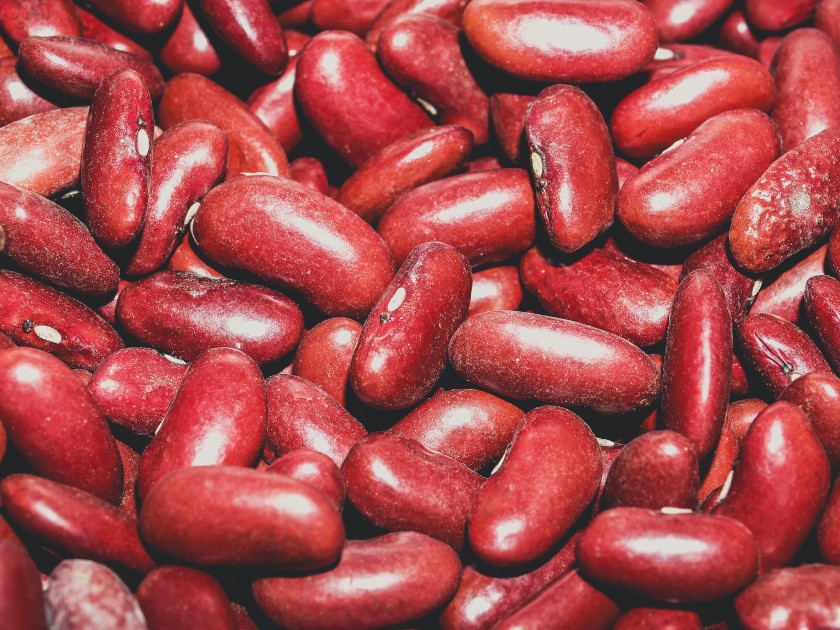 haricots-rouges1