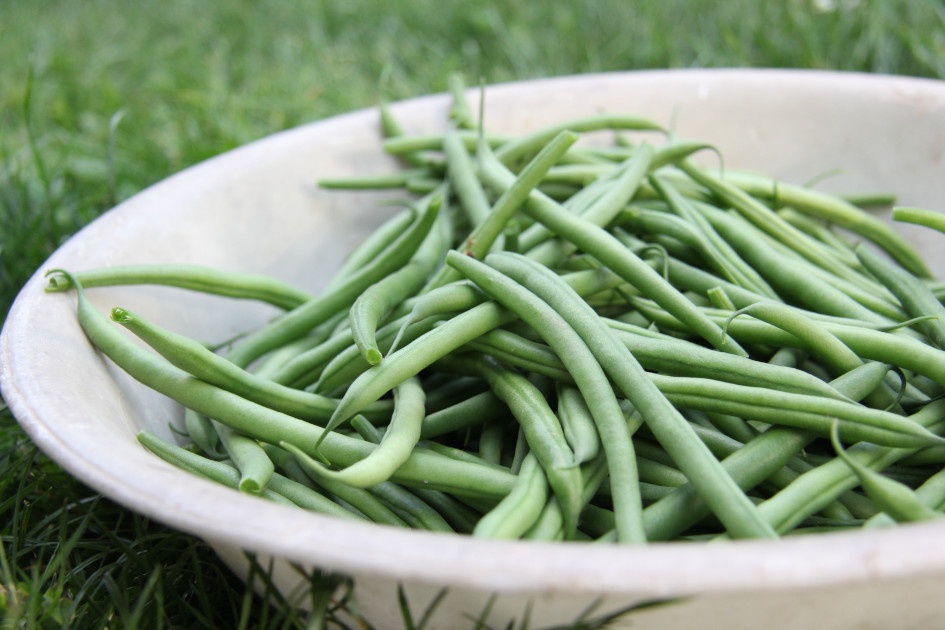 haricots-verts-2
