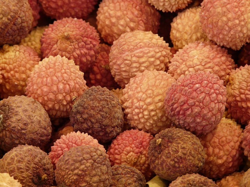 litchis1