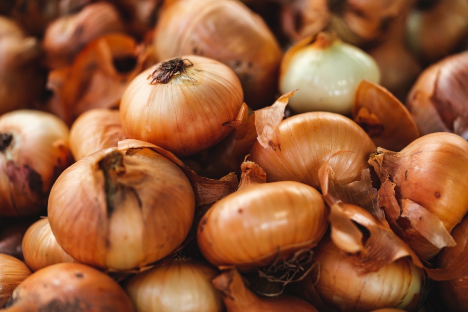 oignons