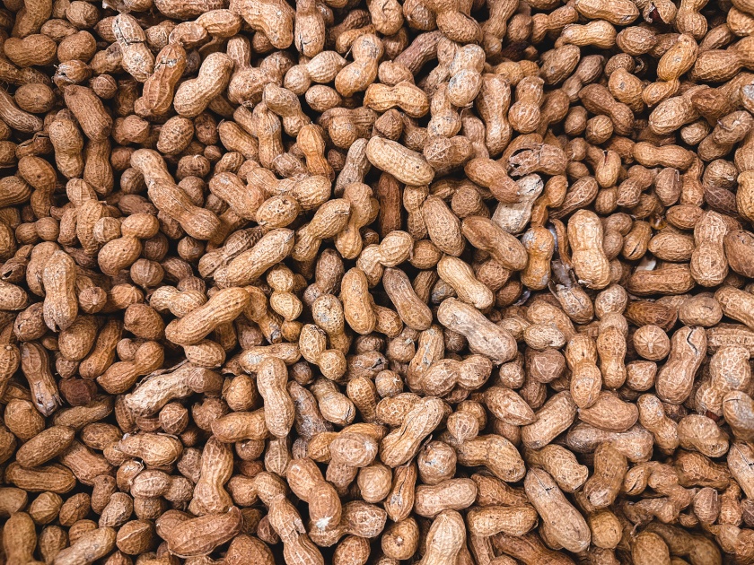 cacahuetes