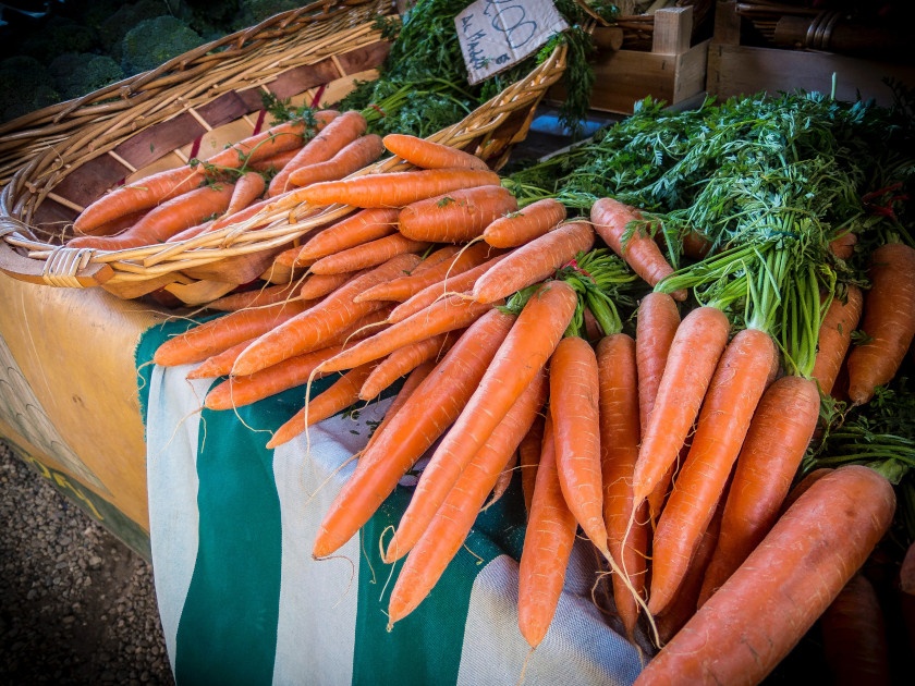 carottes